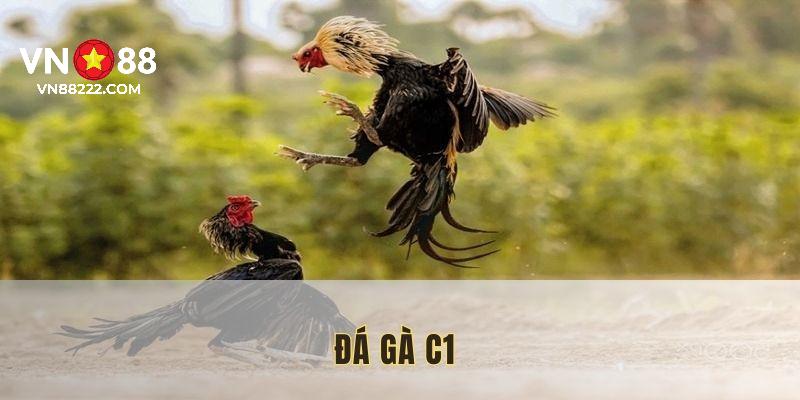 da-ga-c1-hinh-dai-dien